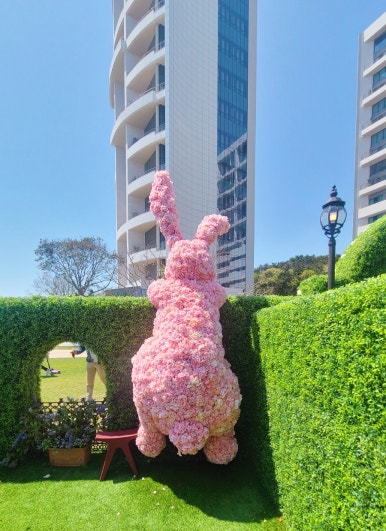 가자토끼나라 이미지