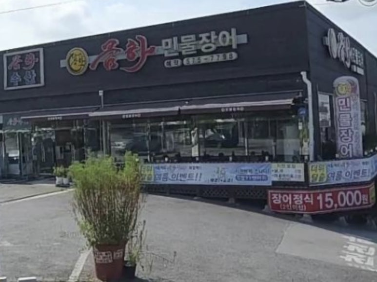 금하민물장어 이미지