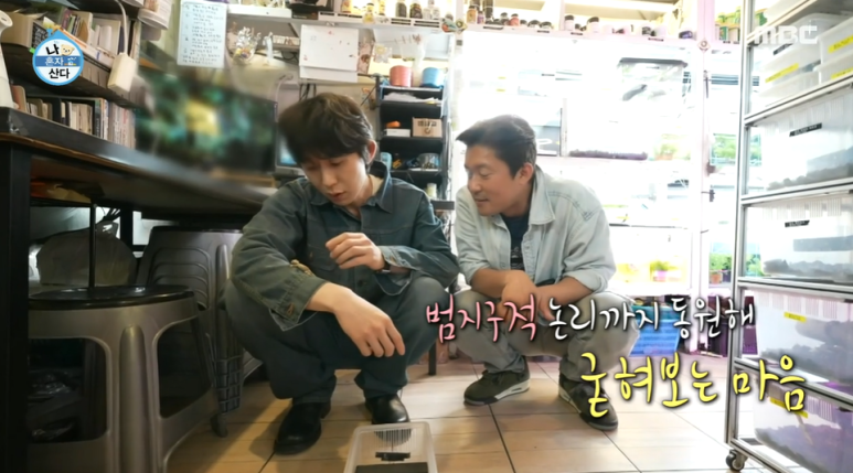 갤러리코쿤 이미지