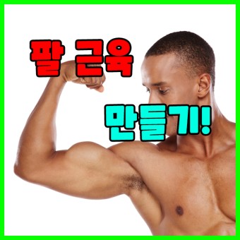 와이비 이미지
