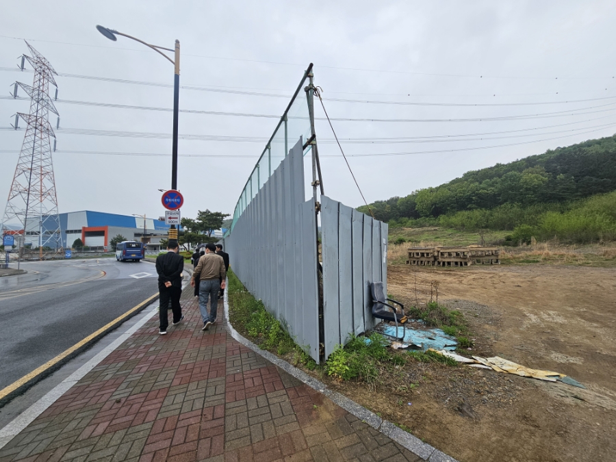 의성상조 이미지