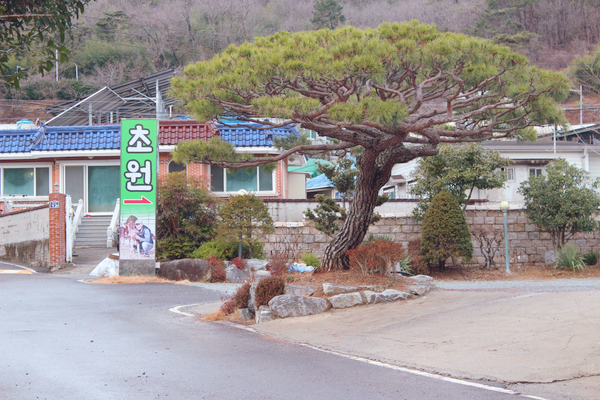 초원한우 이미지