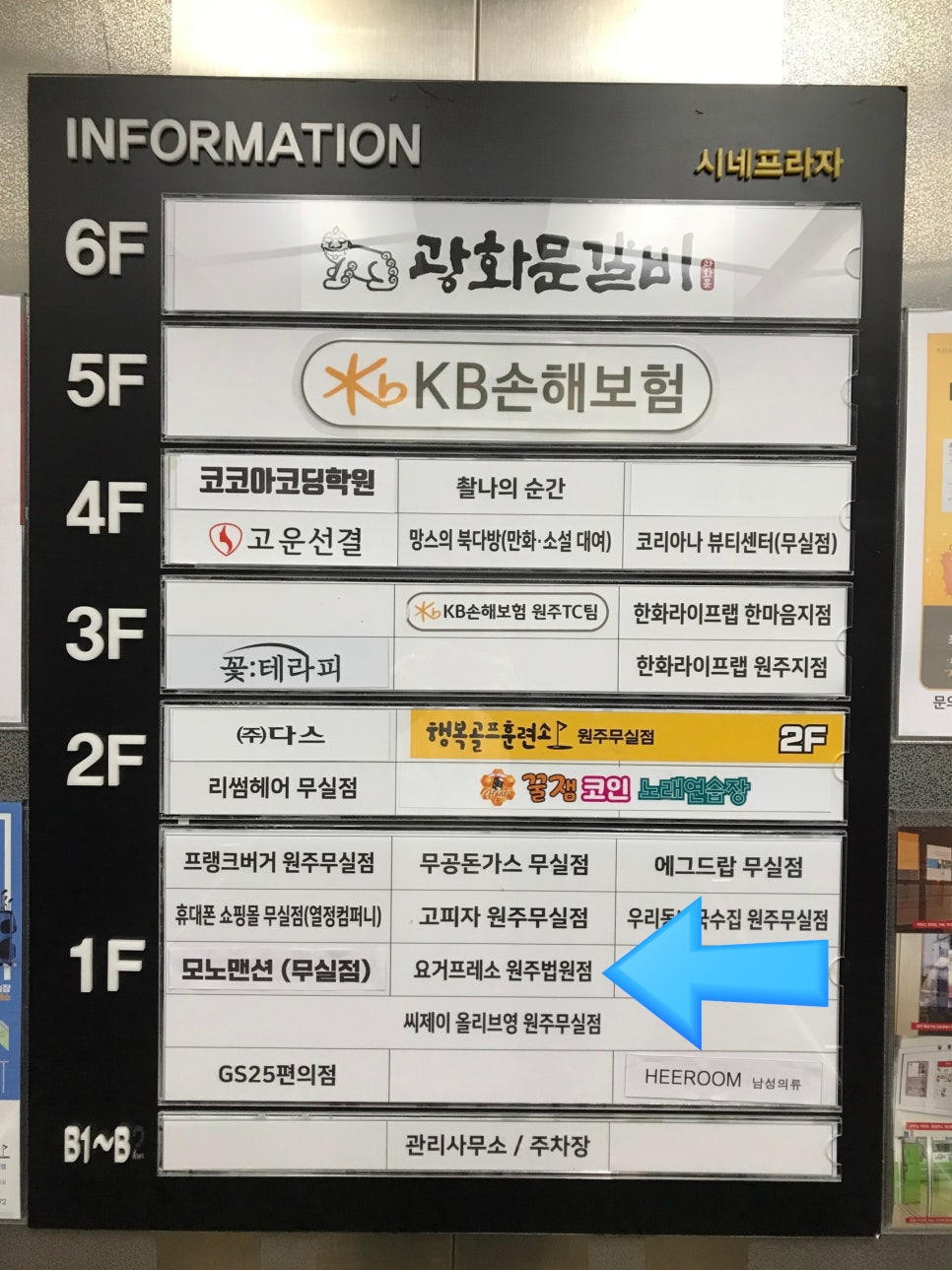 요거프레소원주 이미지