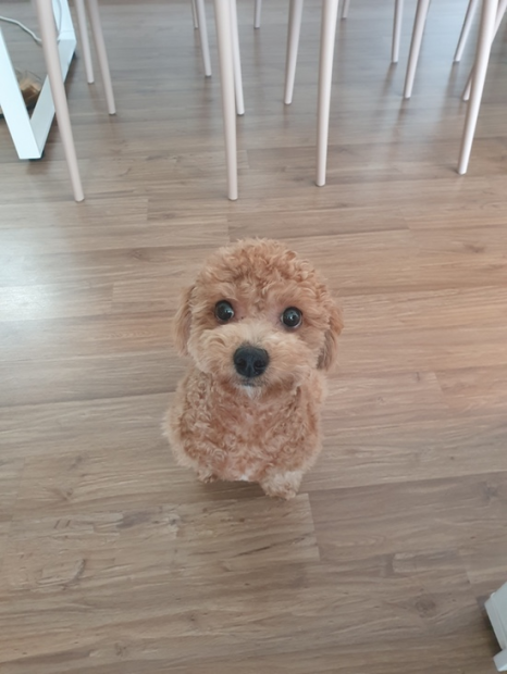 종삼육 이미지