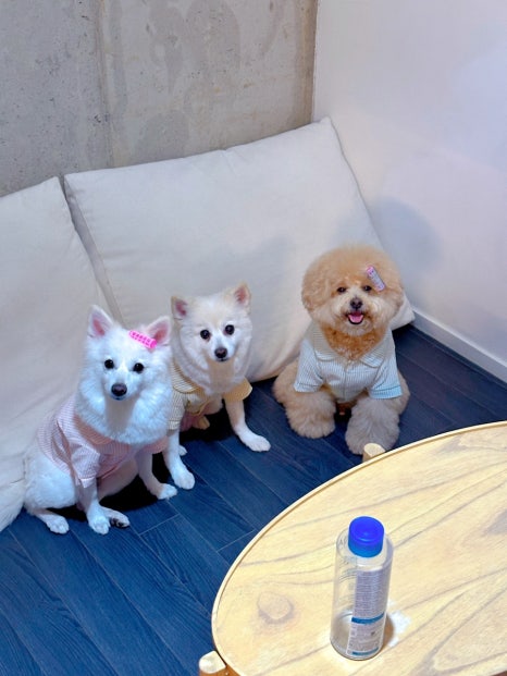 휘파람펜션 이미지