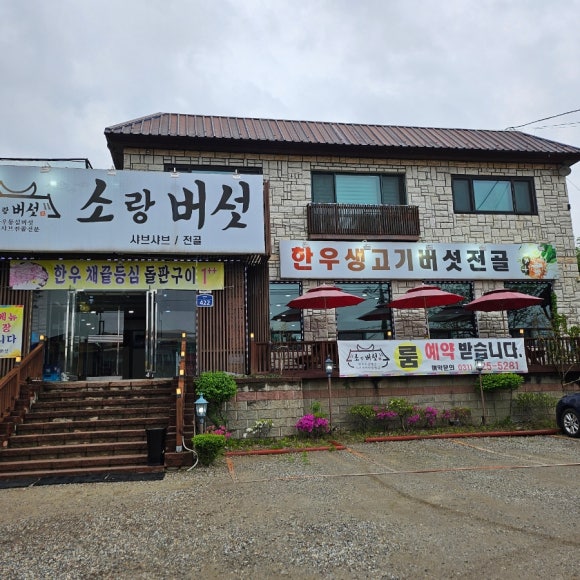 소랑버섯 이미지