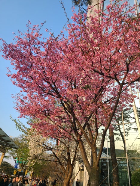 고기연구소 바른 이미지