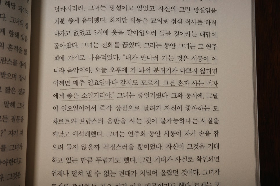 시몽 이미지