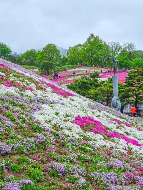 생초신발 이미지