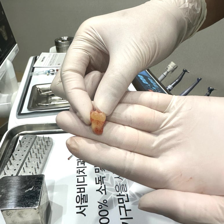 불당서울비디치과의원 이미지