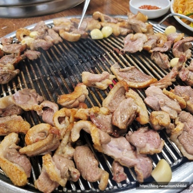 싱싱오리 이미지