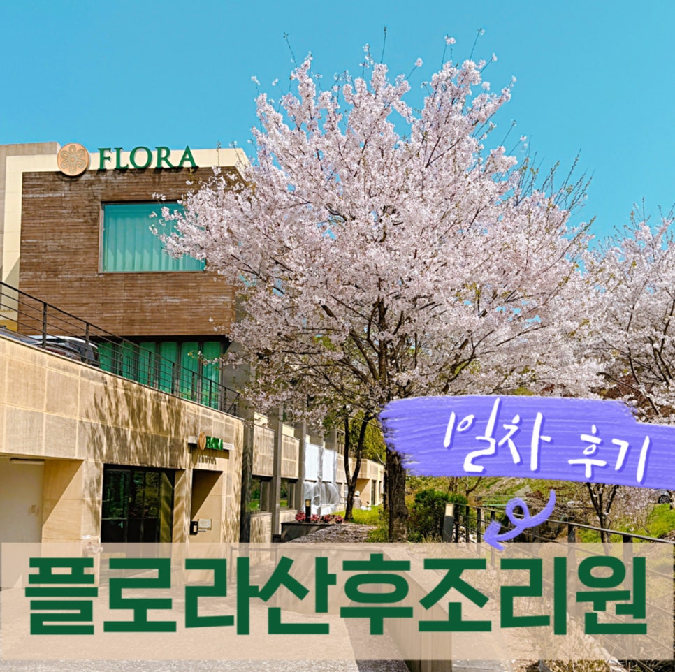 분당플로라 이미지