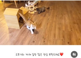 오뚜기정수기 이미지
