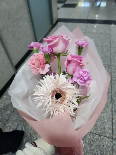 일루스터플라워 이미지