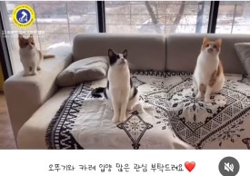 오뚜기정수기 이미지