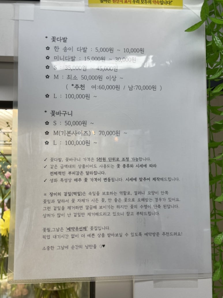 꽃필.그날 이미지