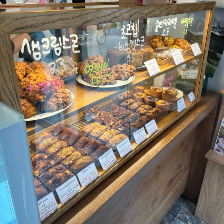 스코닉 이미지