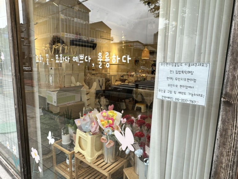묘화꽃 이미지