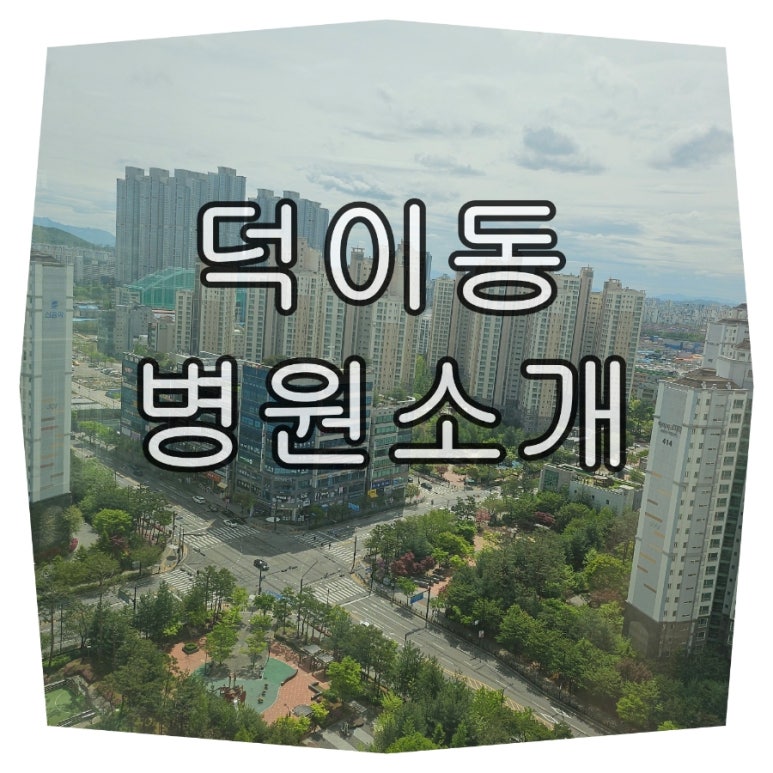 민트소아청소년과의원 이미지
