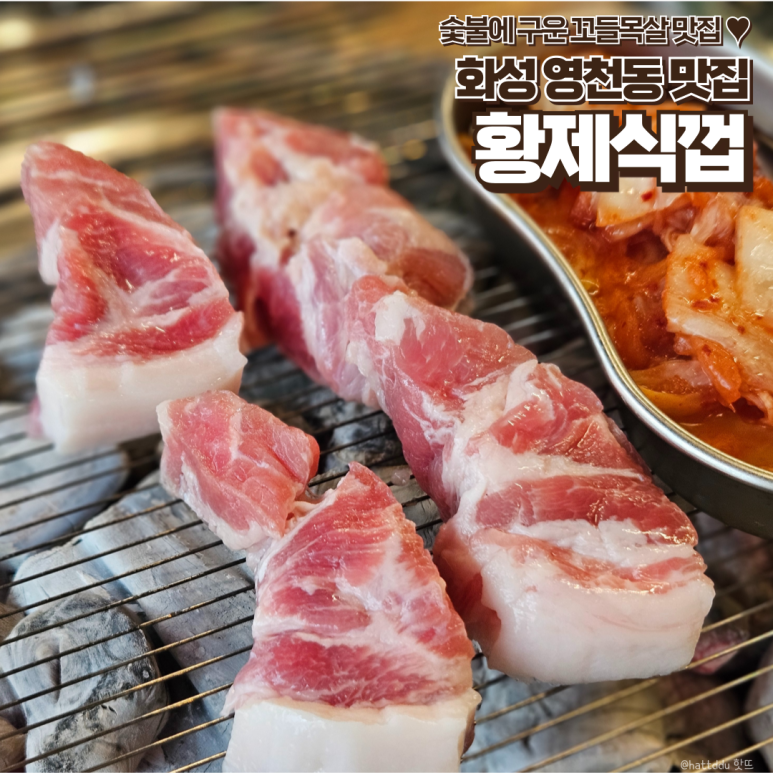 황제식껍 이미지