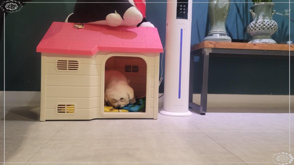 선릉위드피아노학원 이미지