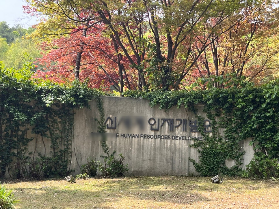 스마일테라피 이미지