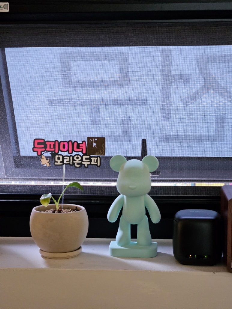 모리온두피탈모 이미지