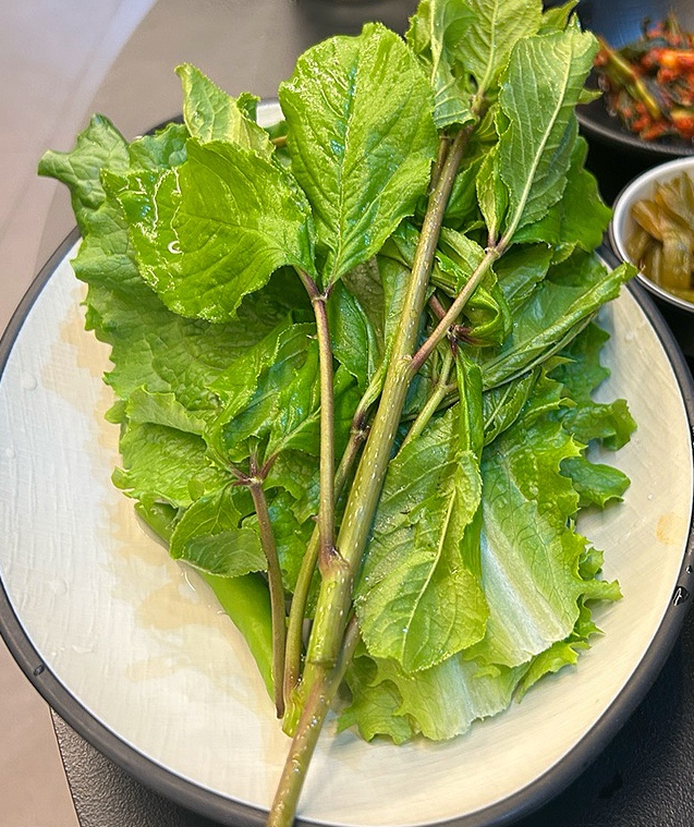 육공오 이미지