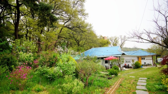 트리팜 이미지