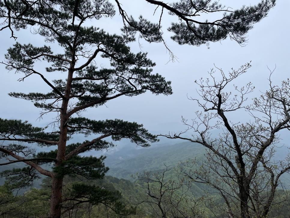 용문산 정상 이미지