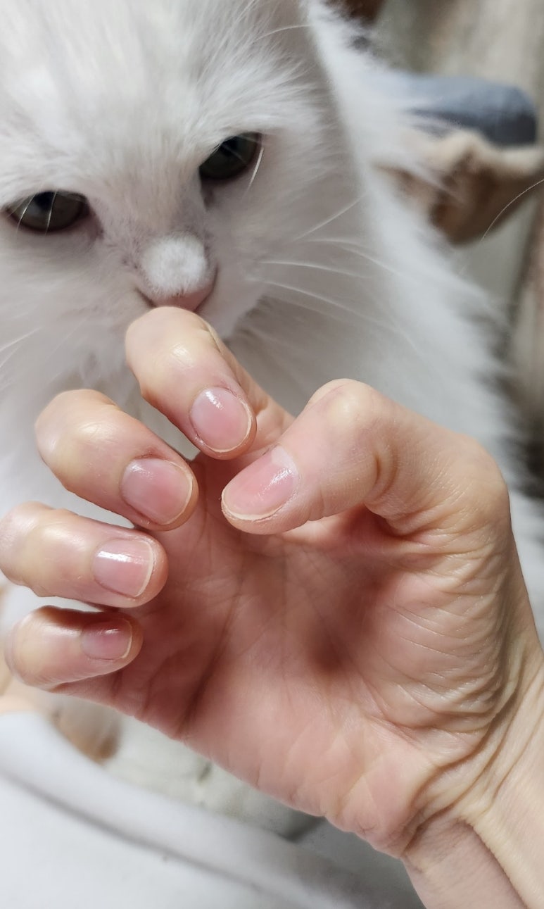 규리네일 이미지