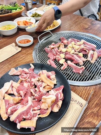 싱싱오리 이미지