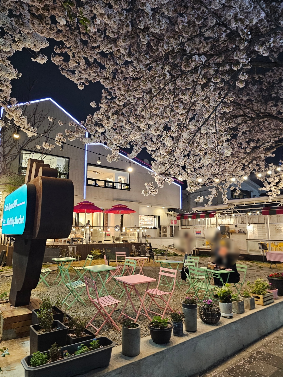 앞산387 이미지