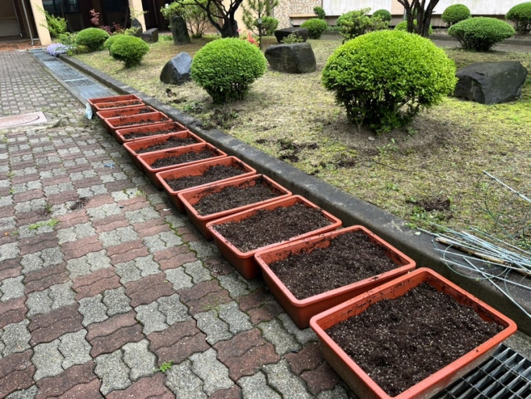 텃밭농약사 이미지