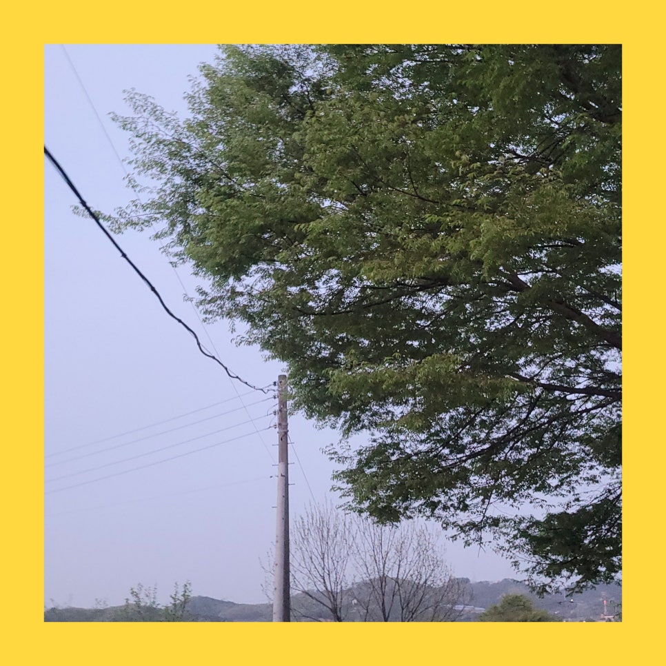 큰나 이미지
