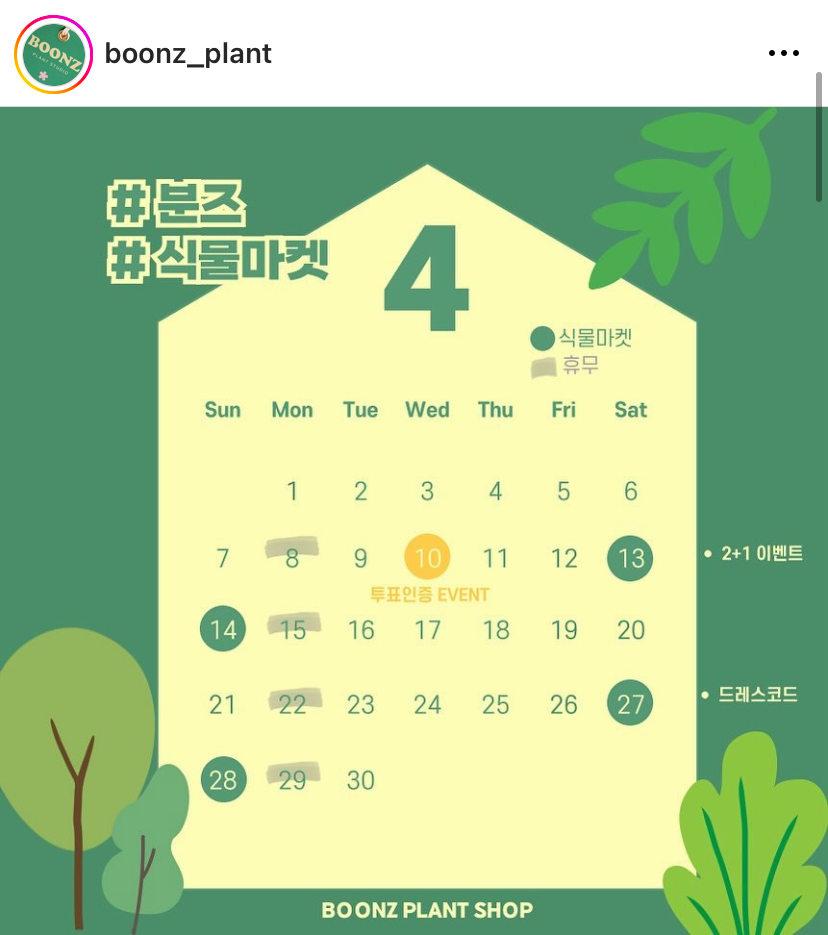 분즈 이미지