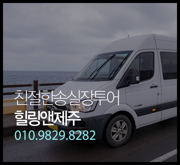 친절한송실장투어(힐링앤제주) 이미지