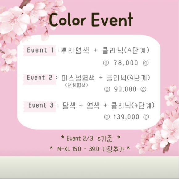 아이엘살롱 이미지