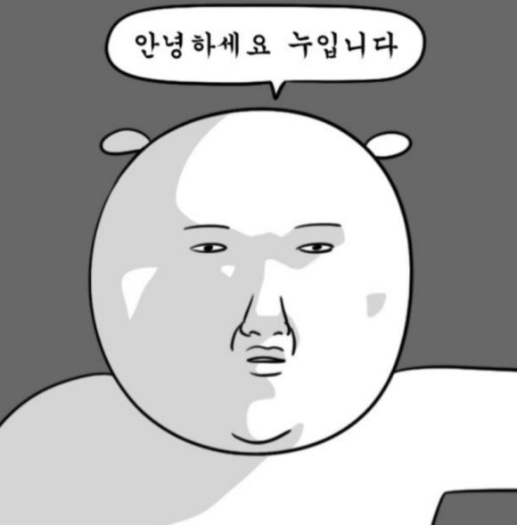 리얼헤어 이미지