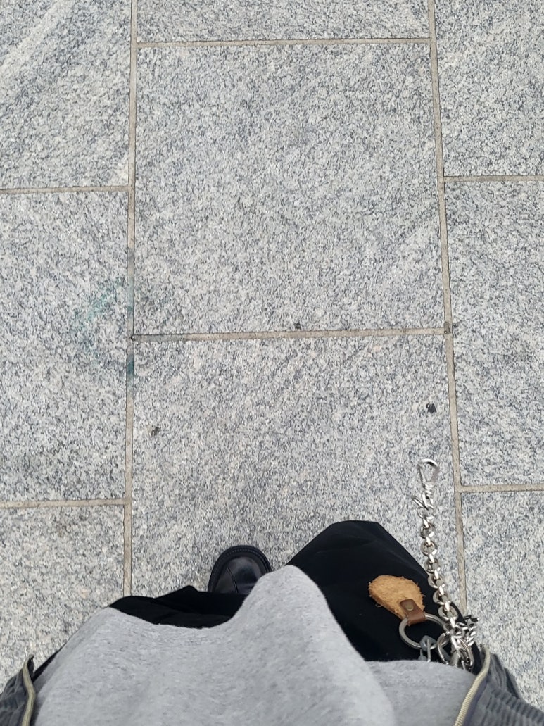봄스봄스 이미지