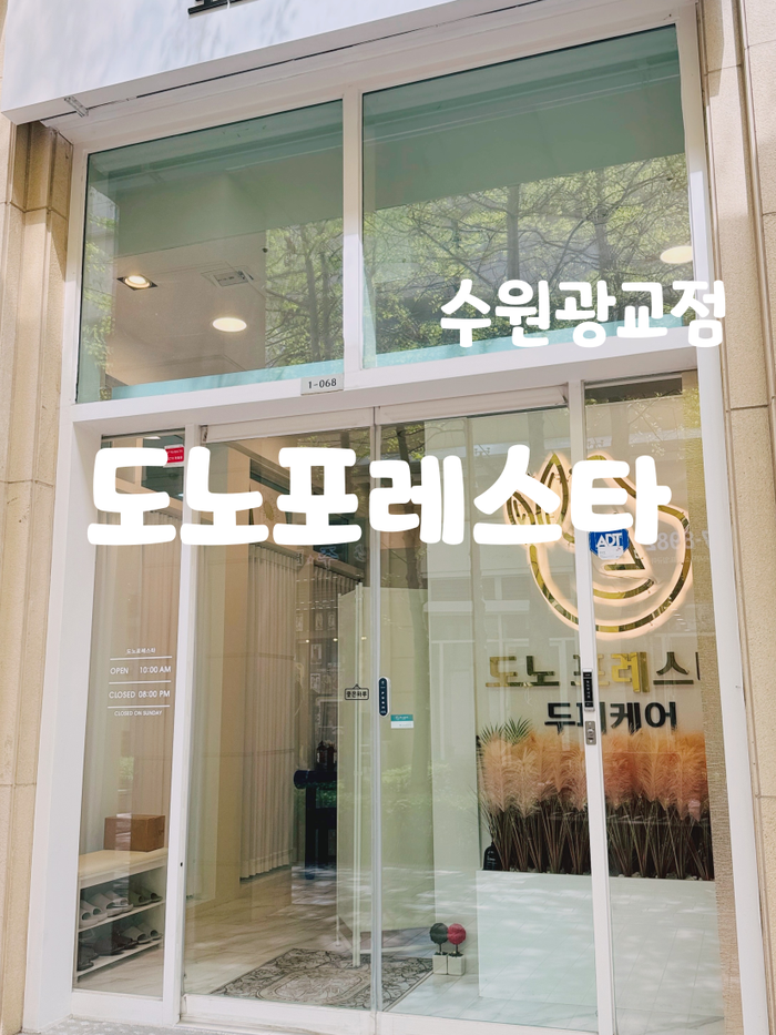 도노포레스타 이미지