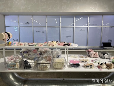 돌핀웨일대구노리터 이미지