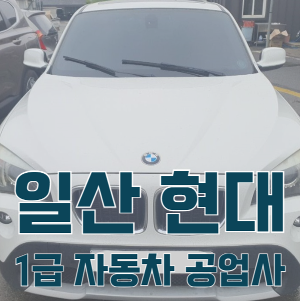 일산서비스기아오토큐 이미지
