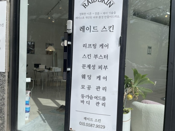 Raid Skin 이미지