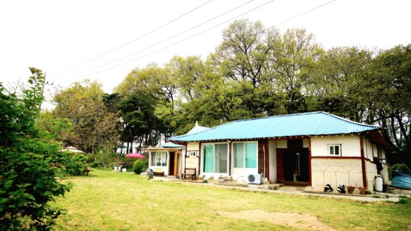 트리팜 이미지