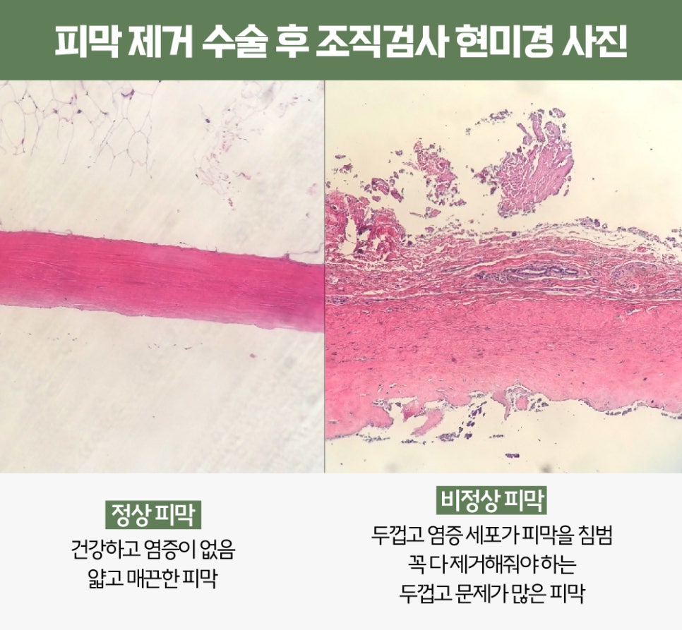 유미노의원 이미지
