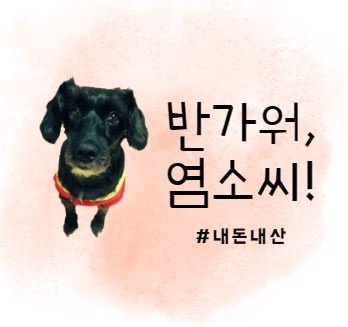 점핑몬스터 별내점 이미지