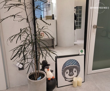 팽브로우 이미지