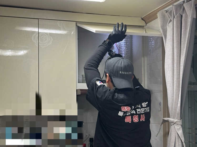 특청사 이미지