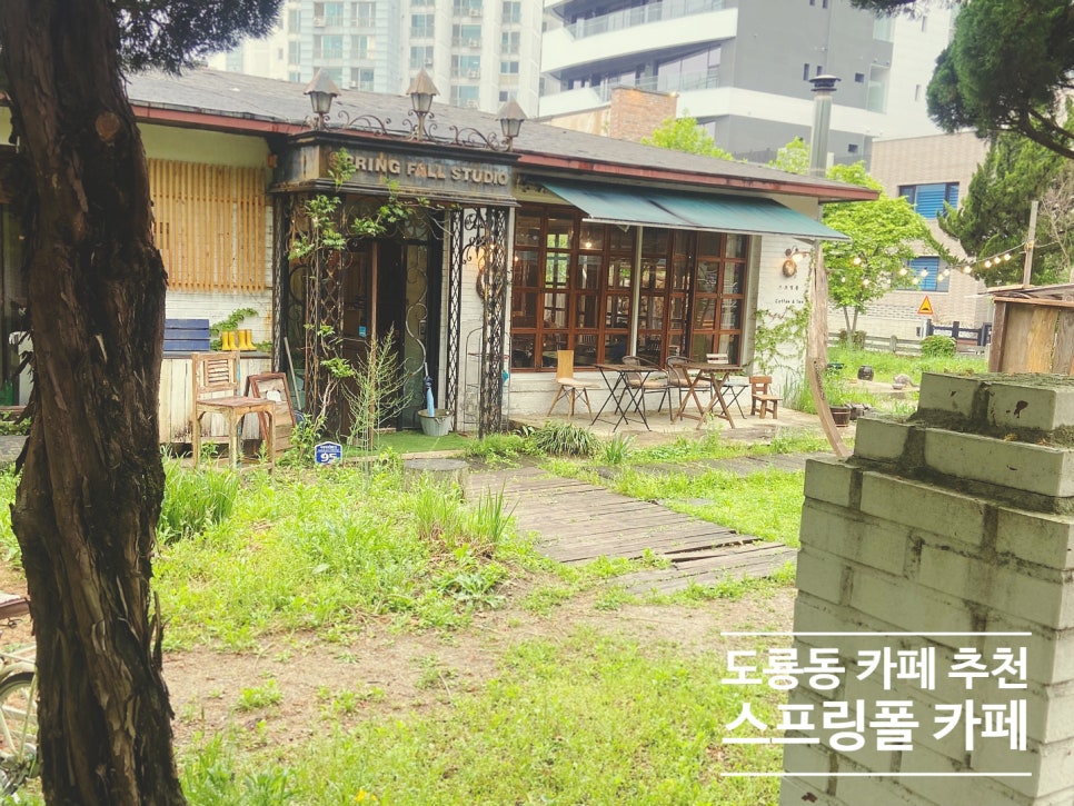 스프링폴카페 이미지